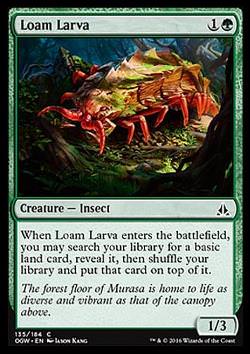Loam Larva (Lehmlarve)